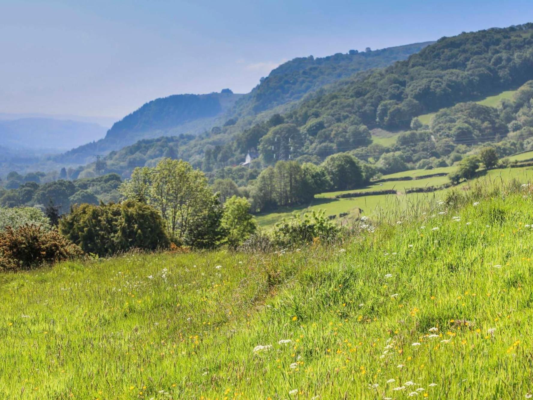Ty'N Y Cae Villa Llanbedr-y-cennin Exteriör bild
